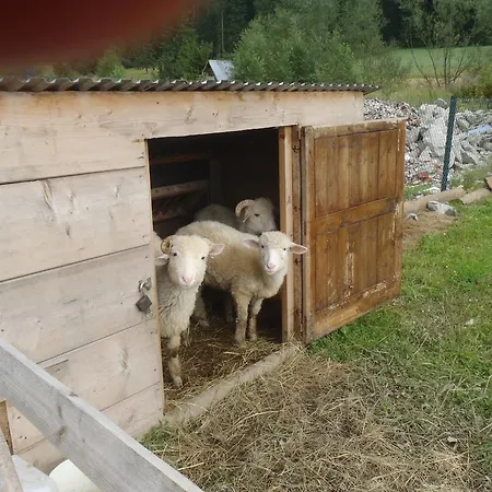Проживання в сім'ї Na Potoku Закопане